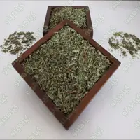  سبزی پونه خشک یک کیلویی گیاهینو