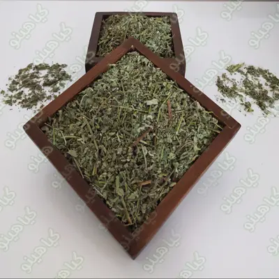  سبزی پونه خشک یک کیلویی گیاهینو