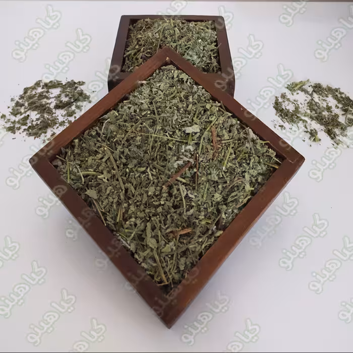  سبزی پونه خشک یک کیلویی گیاهینو