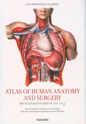  دانلود کتاب Atlas Of Human Anatomy And Surgery, 2008 - دانلود کتاب های دانشگاهی