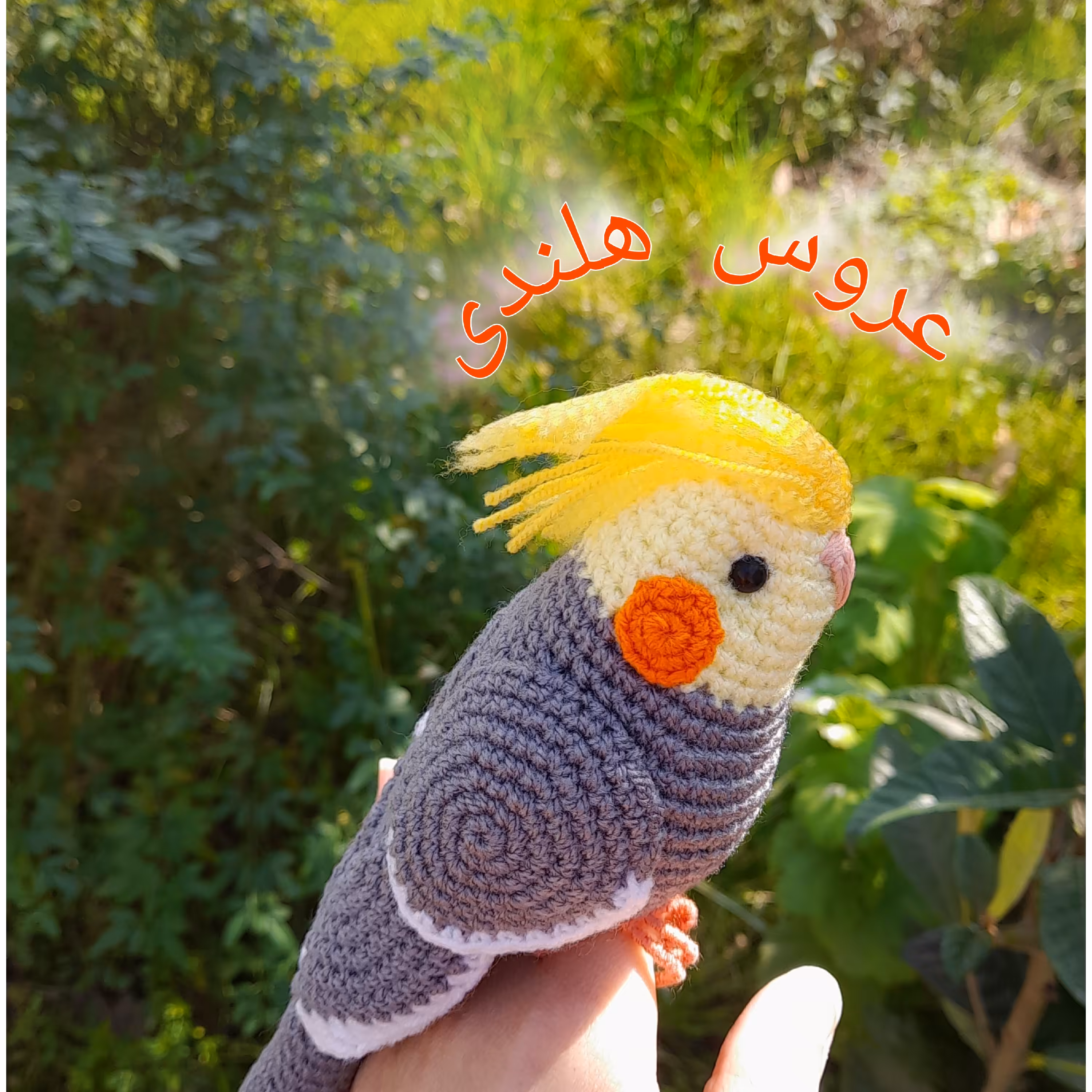 عروس هلندی خیلی زیبا 20 سانتی کامواایرانی