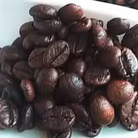 قهوه بو داده 50 گرم 