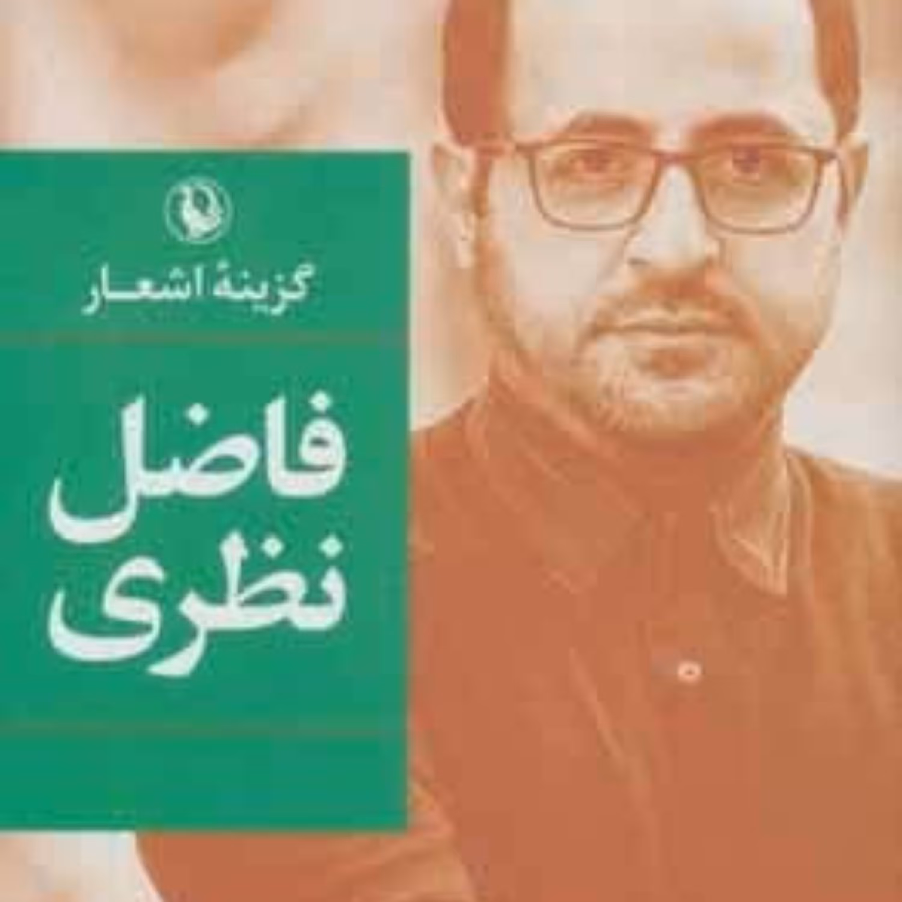 گزیینه اشعار فاضل نظری قالب کوچک 