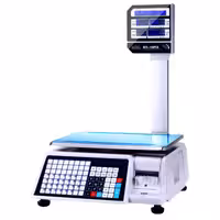 ترازوی صبا مدل BCS-100PEB