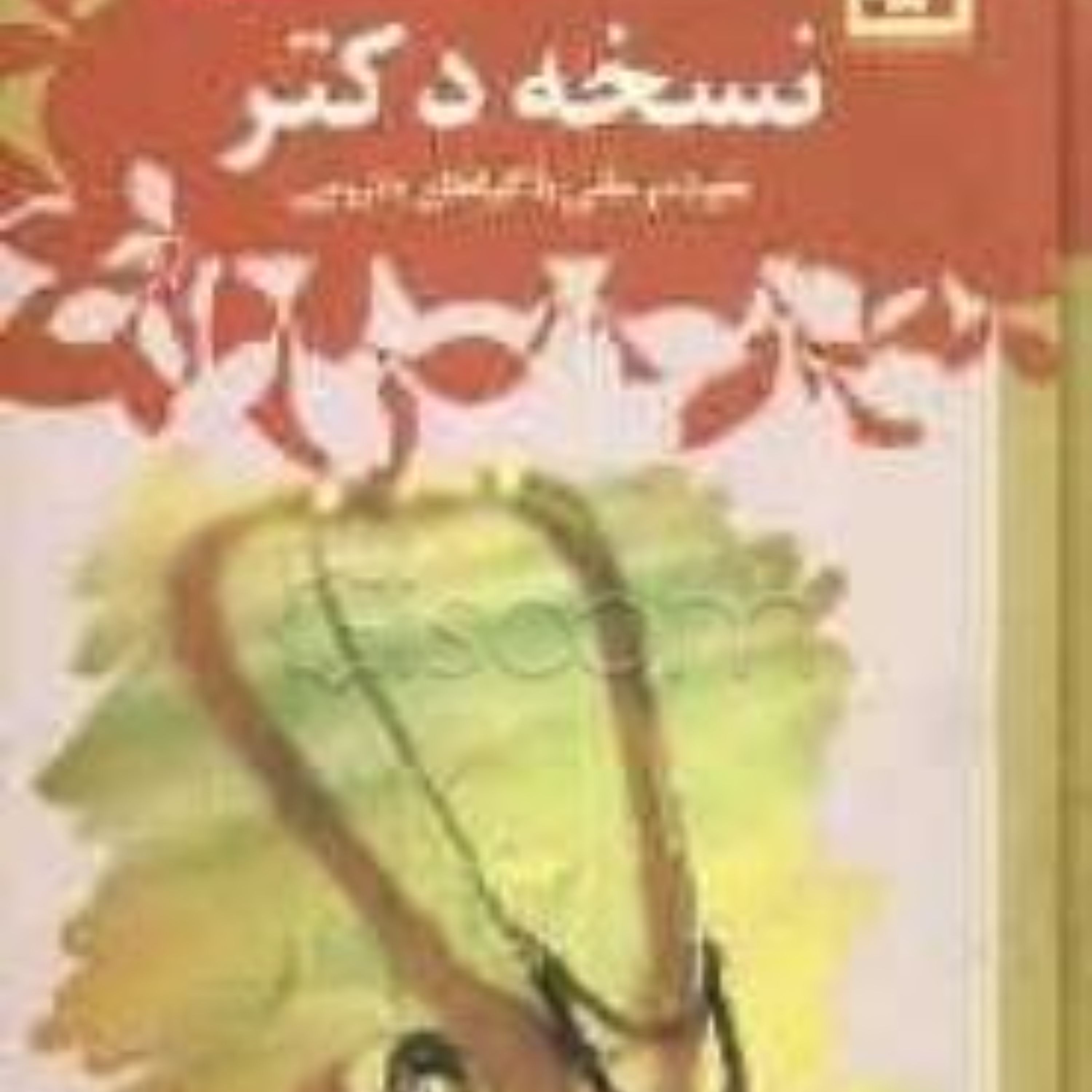کتاب نسخه دکتر خوددرمانی با گیاهان دارویی تالیف خسرو بابایی