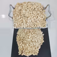 تخمه کدوگوشتی شورکاری شده