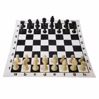 شطرنج کیسه ای