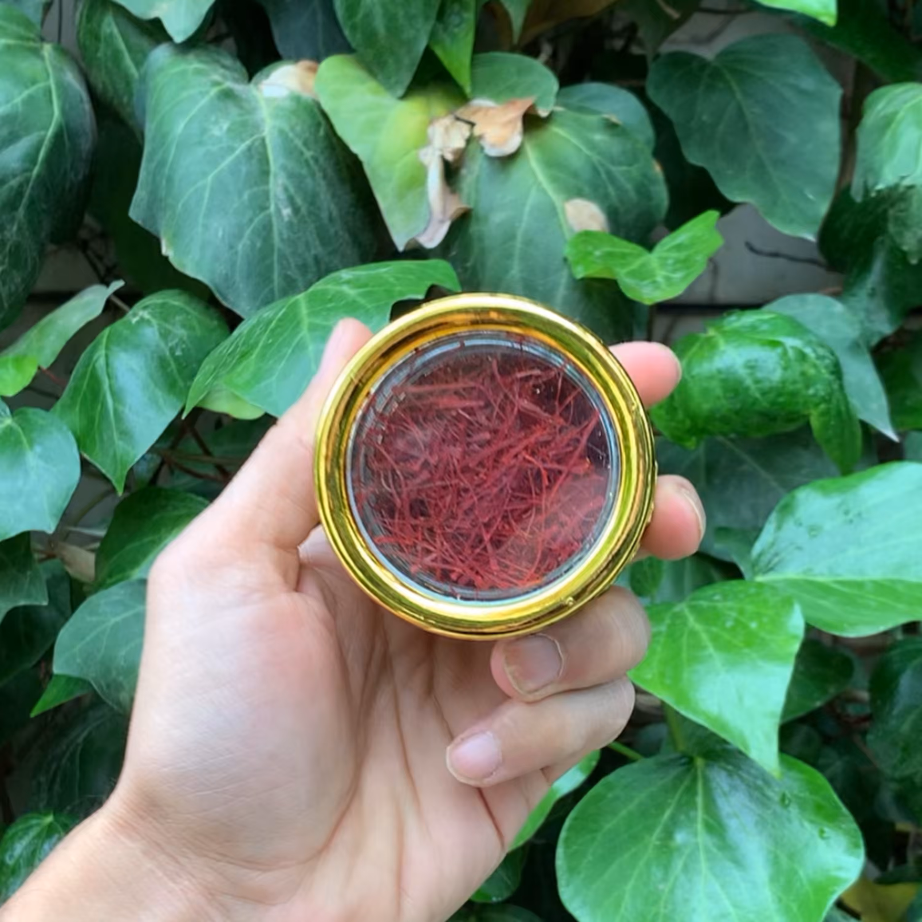 زعفران سرگل ویژه طرح چینی 5 گرمی آقای زعفران