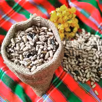 لوبیا سیاه،محصول1402،مناسب انواع خوراک لوبیا،برند تراوا،محصول گیلان زمین