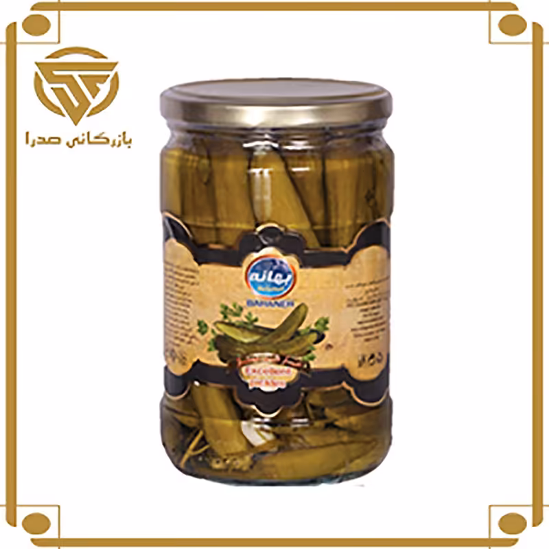 خیارشور بهانه هر شل   12 عدد