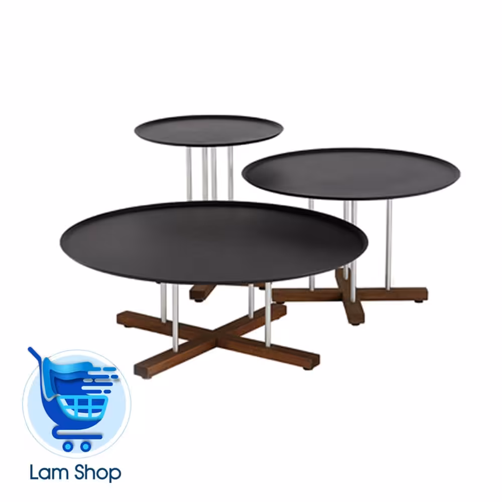 میز جلومبلی متوسط سینی sini-m نظری(زمان ارسال 15تا 20 روز کاری)