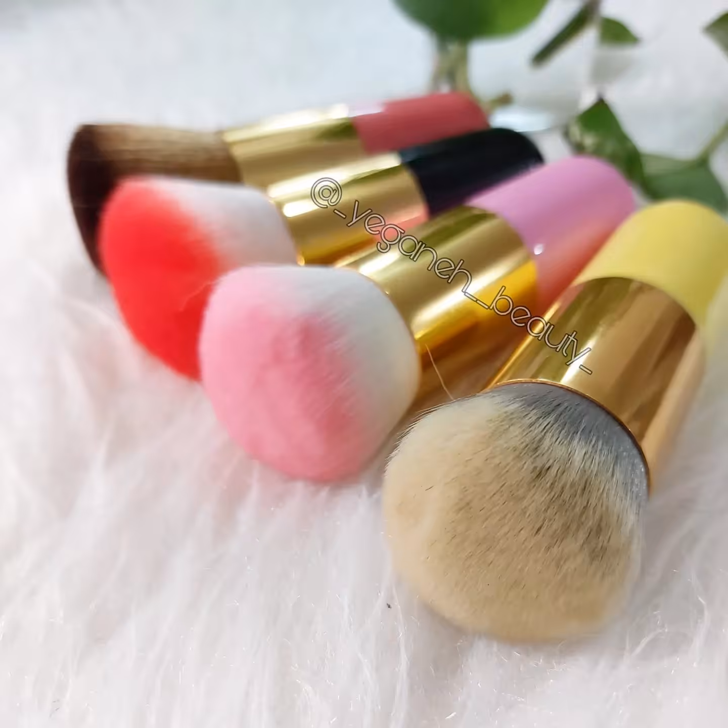 براش تکی رژگونه