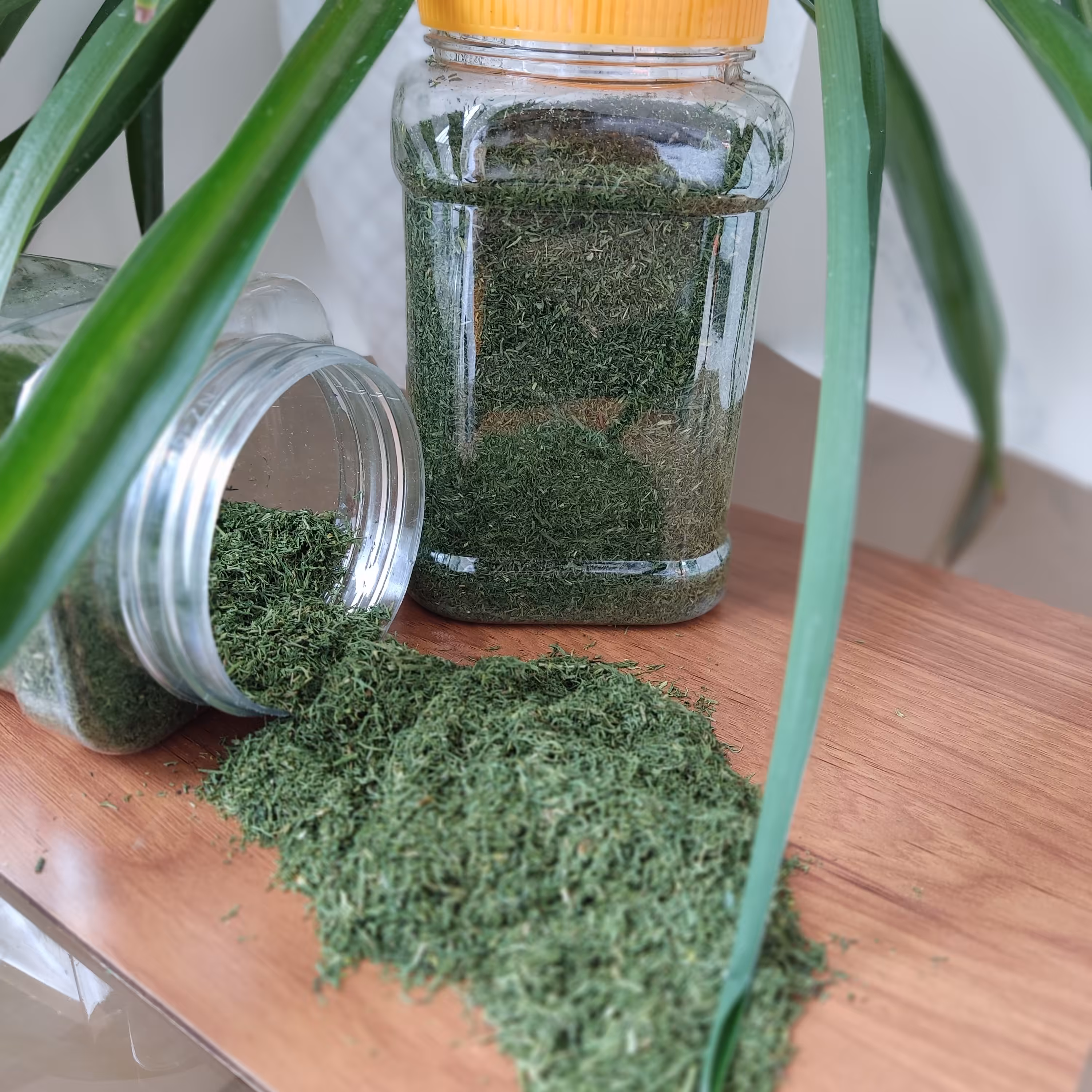 شوید خشک اعلا