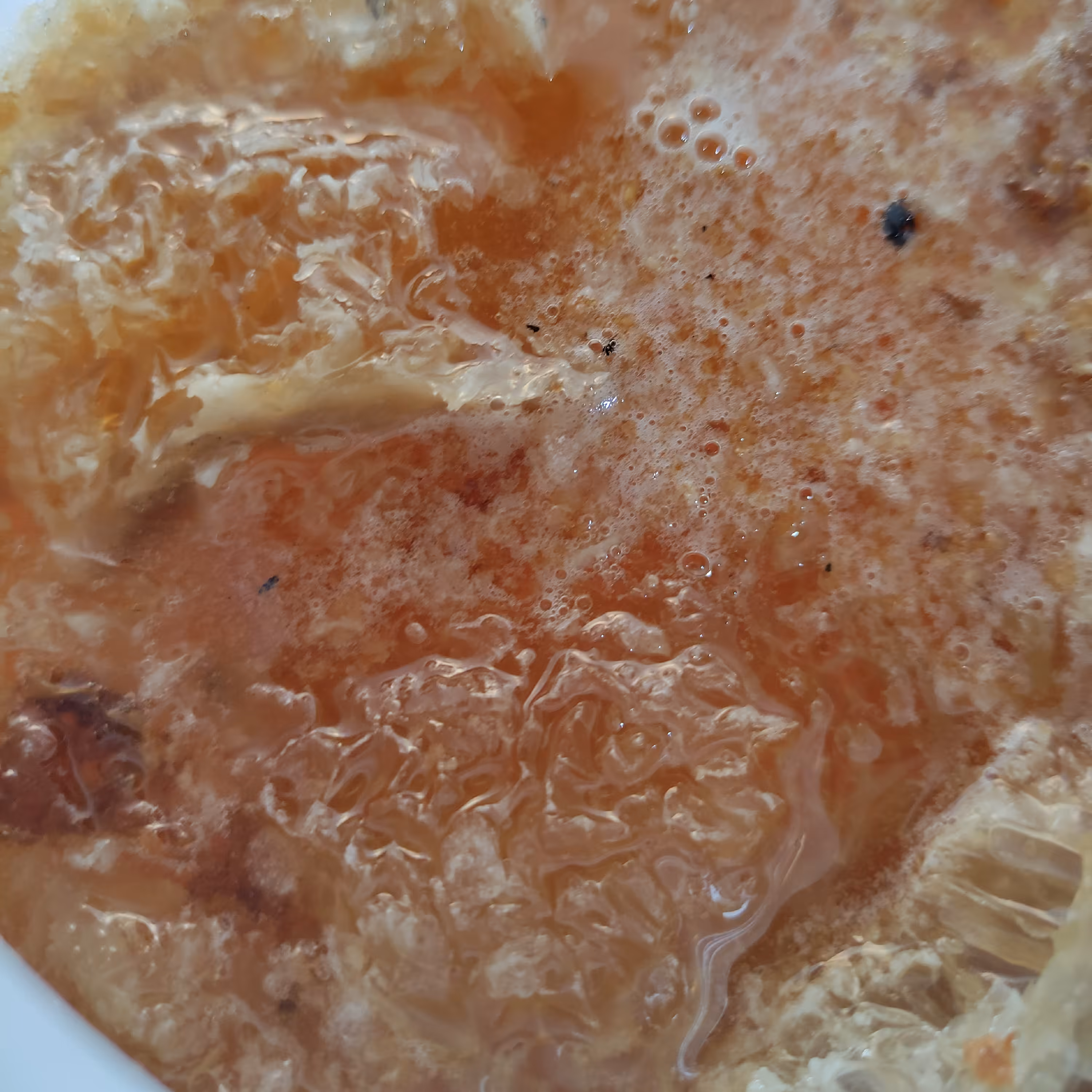 عسل کوهی