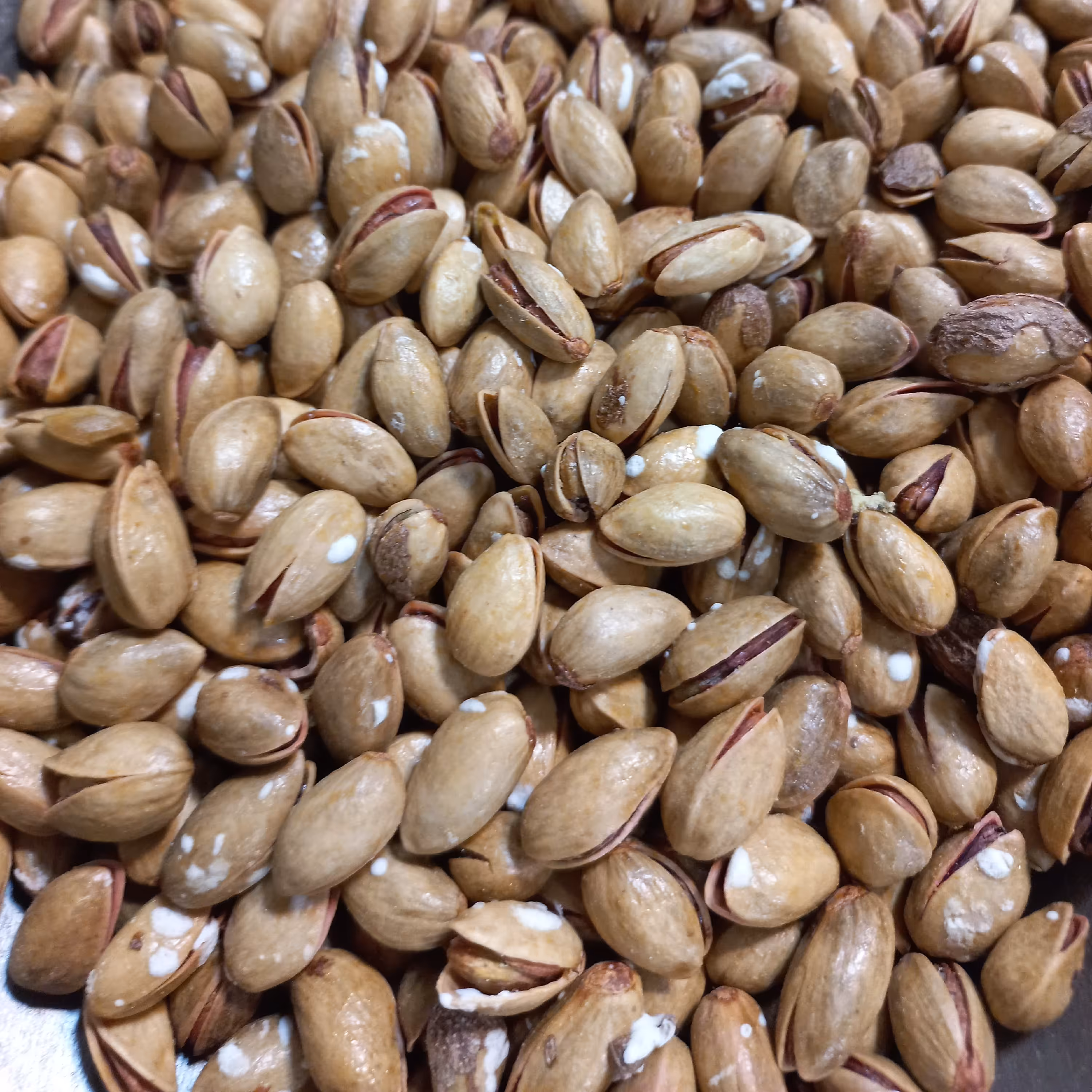 پسته جنگلی نمکی (100گرمی)