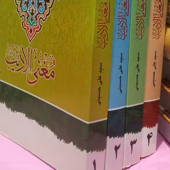 کتاب ترجمه و شرح مغنی الادیب