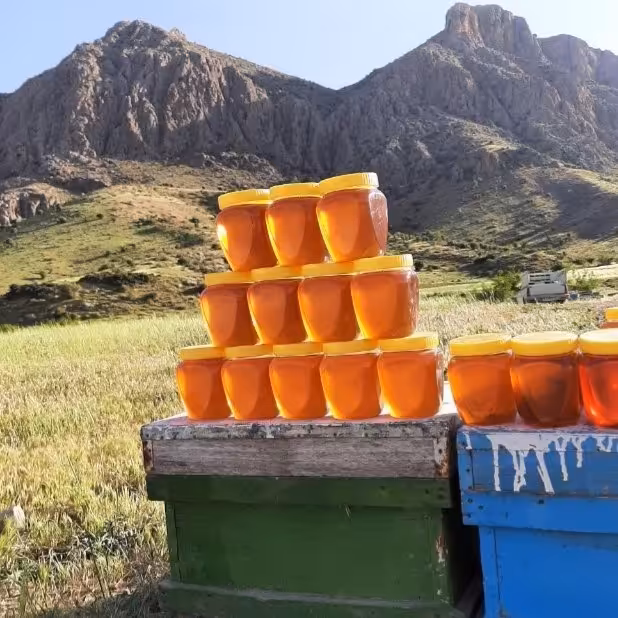 عسل کوهستان