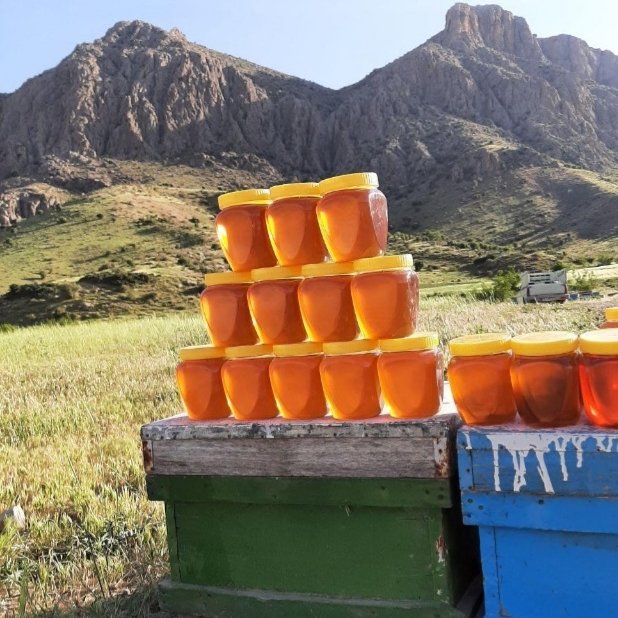 عسل کوهستان