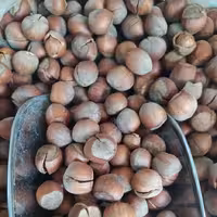 فندق خام خندان