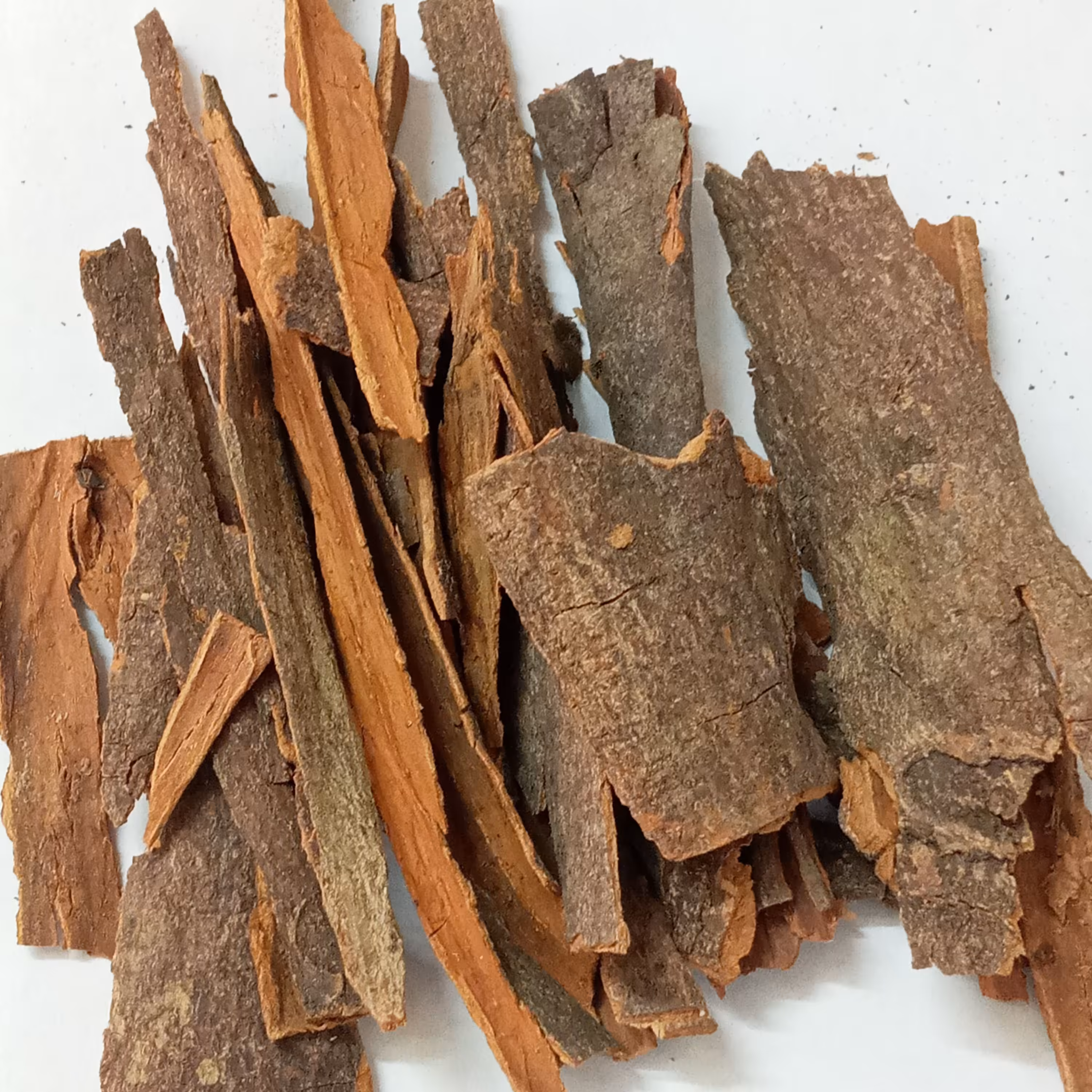 چوب دارچین اعلاء (100گرمی)