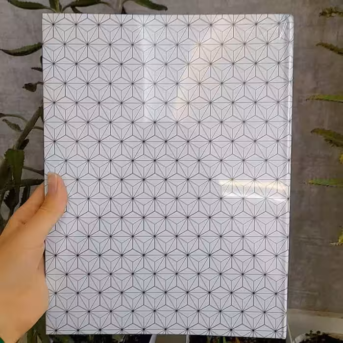 کلاسور  26 حلقه