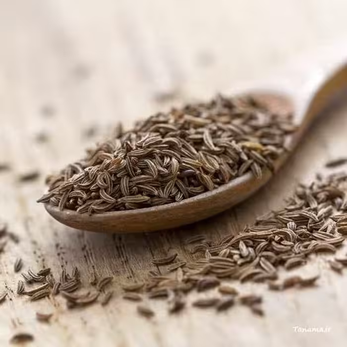 زیره سیاه کرمان(100گرمی)