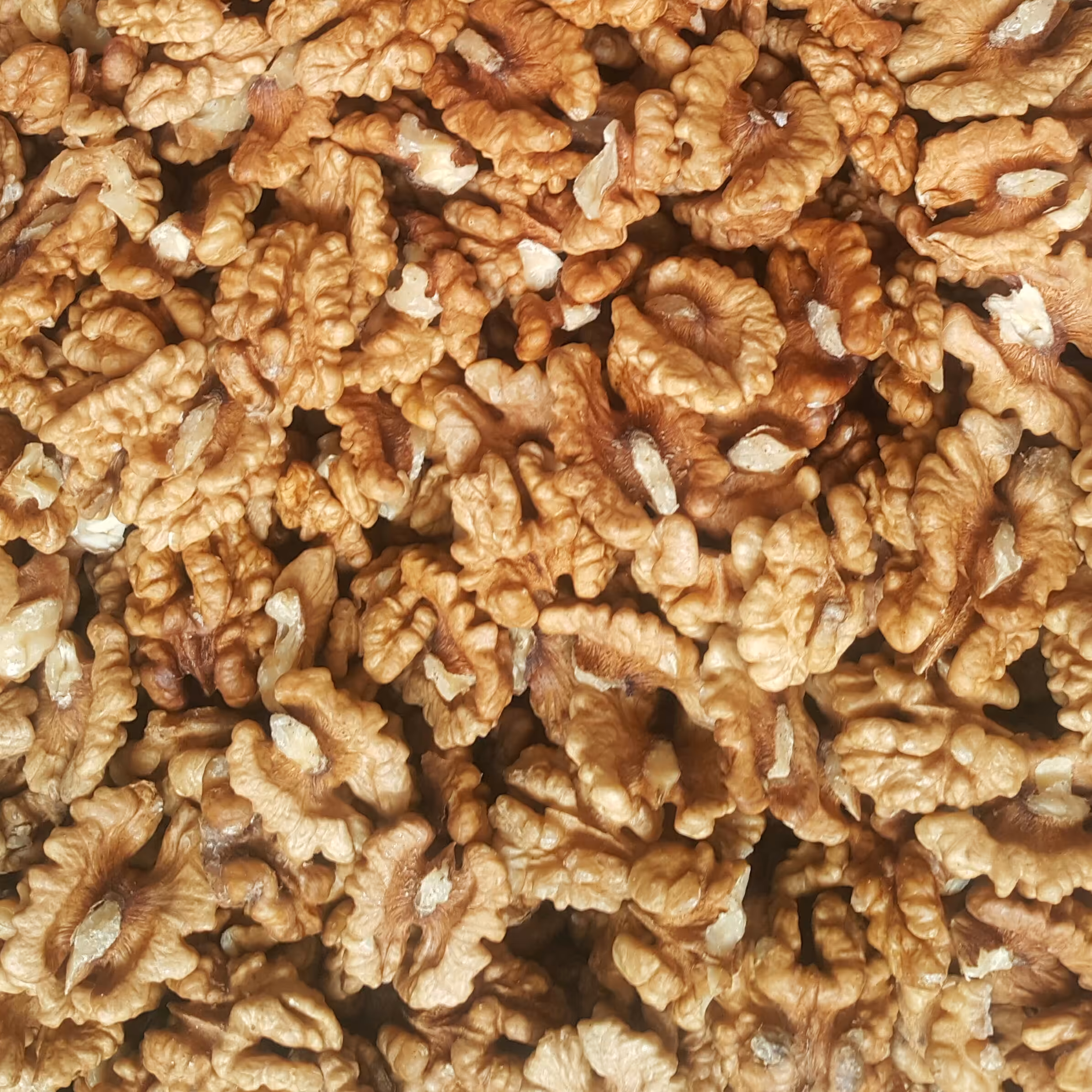 مغز گردو چینی (15 کیلو)