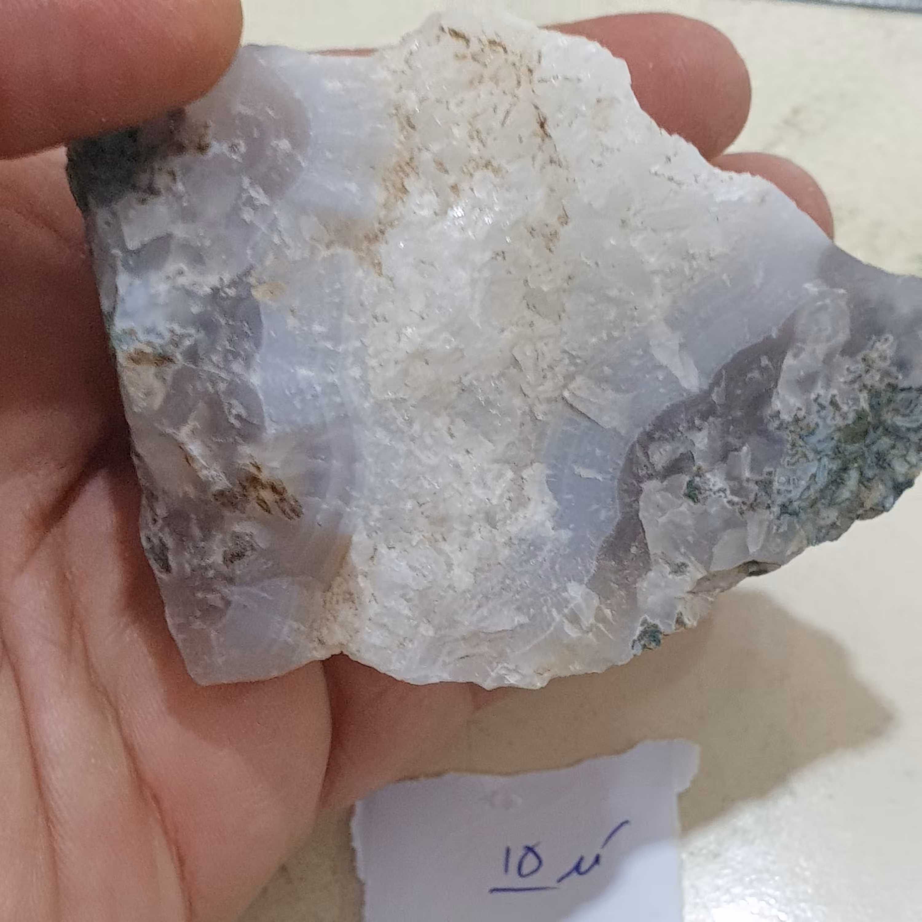 راف شجر کد 15