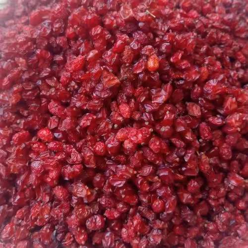 زرشک دانه اناری تازه و درجه یک(500 گرم)