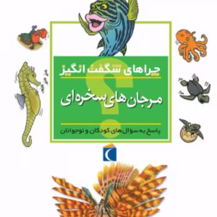 چراهای شگفت انگیز آب سنگ های مرجانی