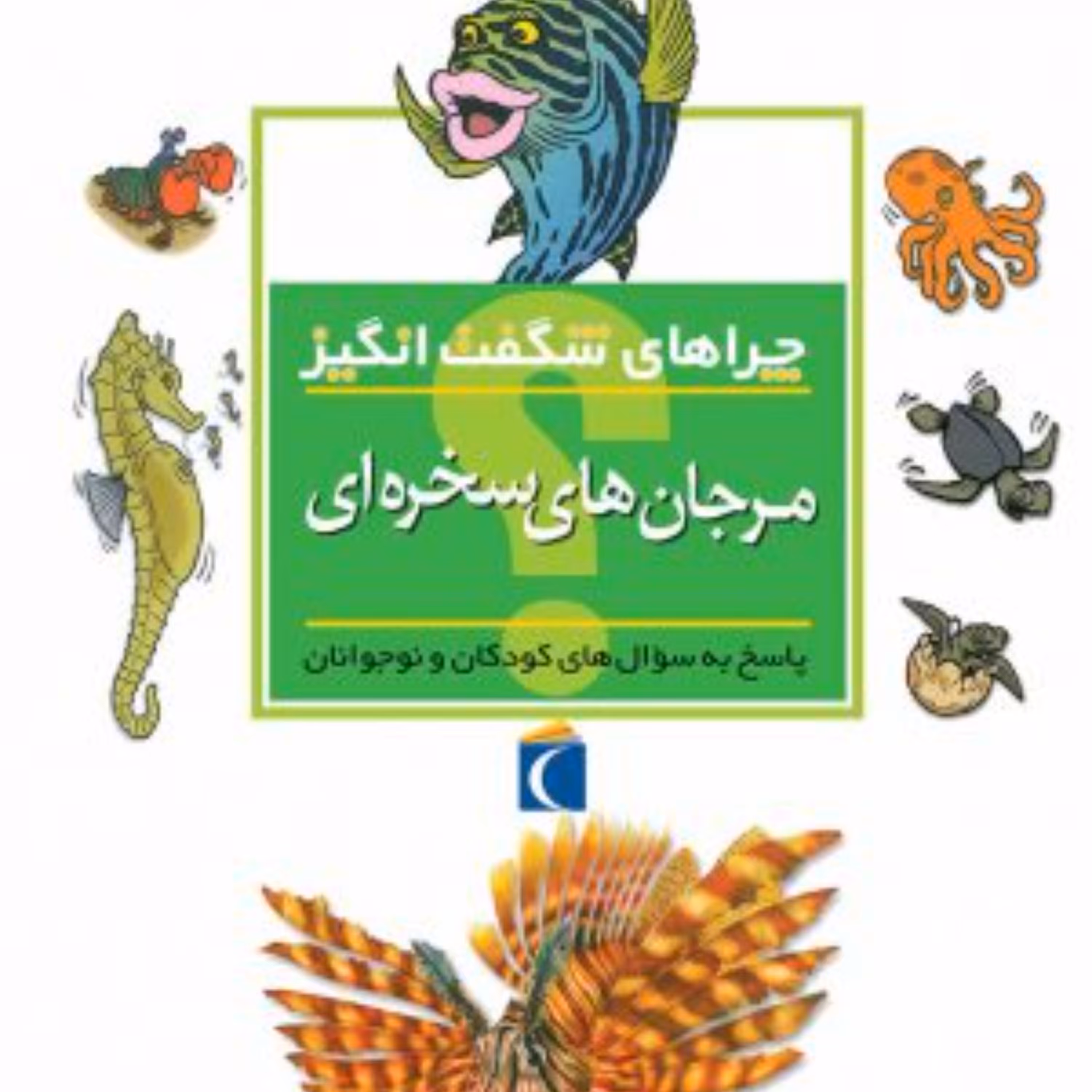 چراهای شگفت انگیز آب سنگ های مرجانی