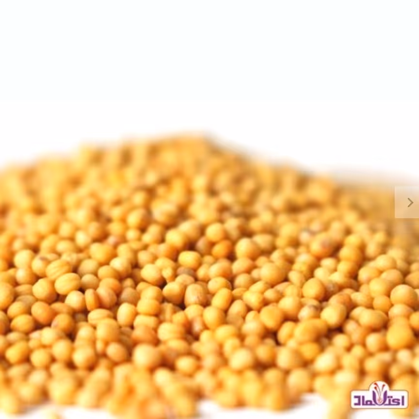 دانه خردل زرد 100 گرمی اعتماد
