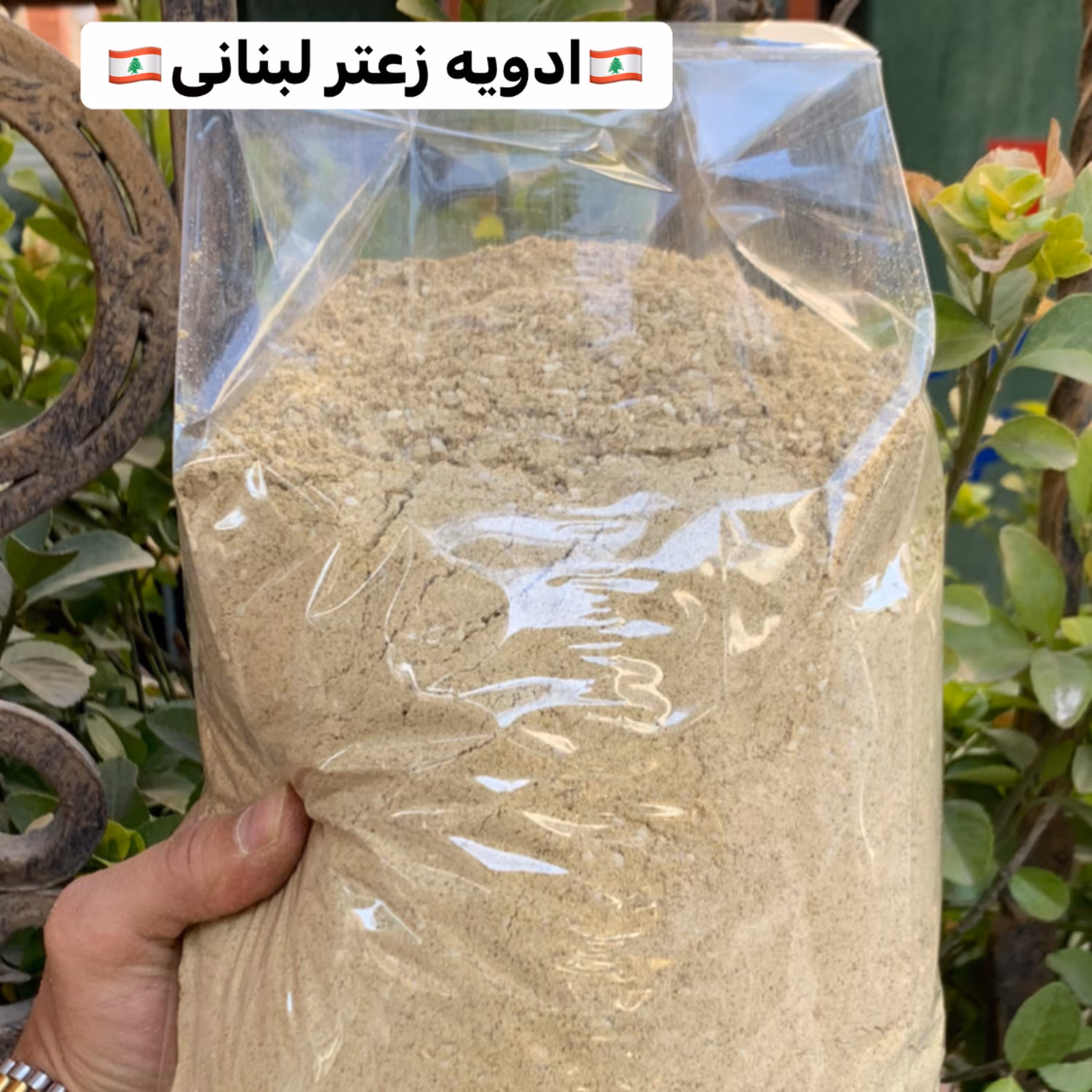 ادویه زعتر لبنانی مخصوص 1 کیلوگرمی آقای زعفران
