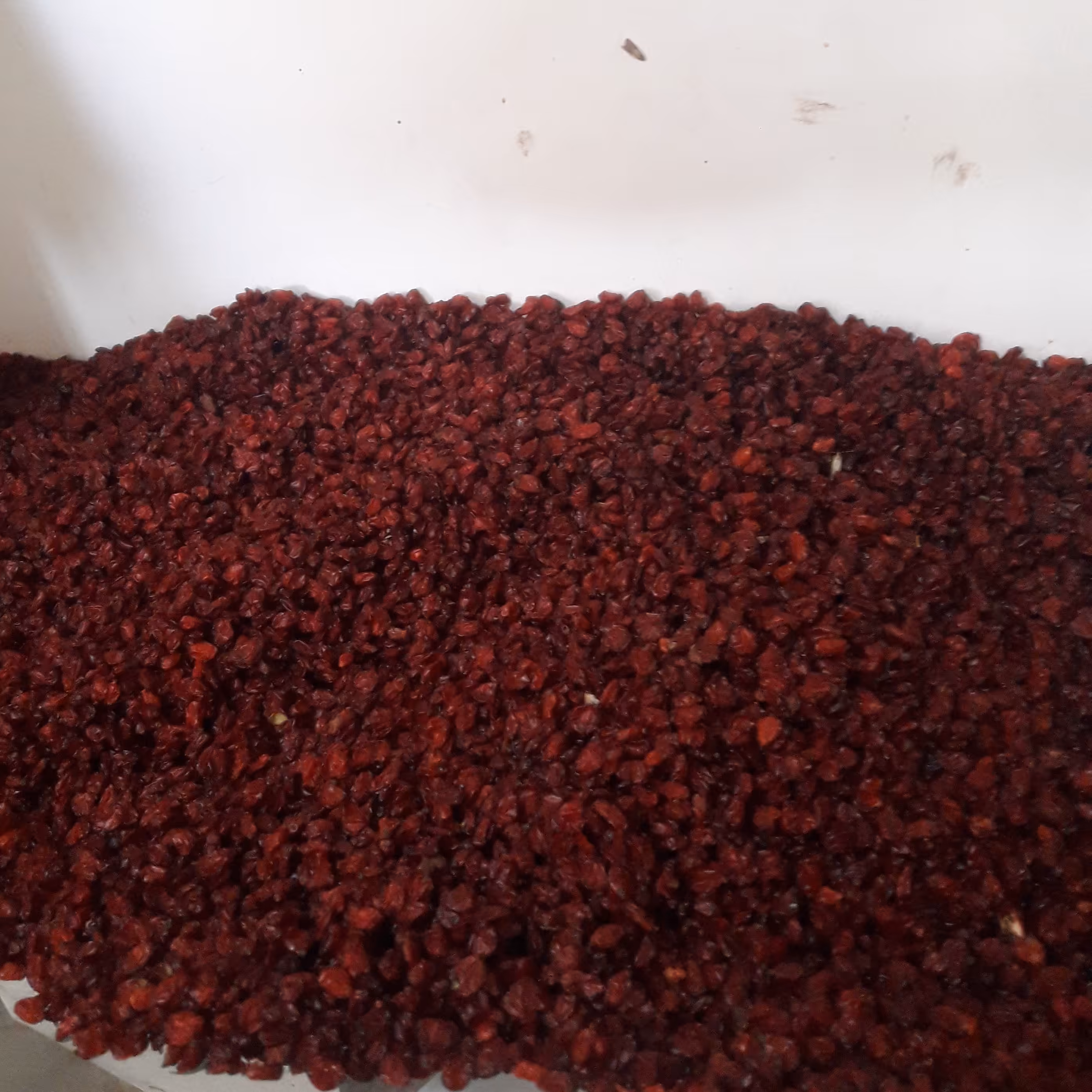 زرشک پفکی بیرجند