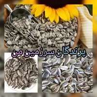تخمه دورسفید خام  درجه یک 500گرمی   