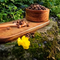 قهوه روبوستا ویتنام  1 کیلو  ربوستا  کافئین بالا  - قهوه اسپرسو  دان یا آسیاب برای اسپرسوساز - موکاپات فرنچ پرس دمی  و .