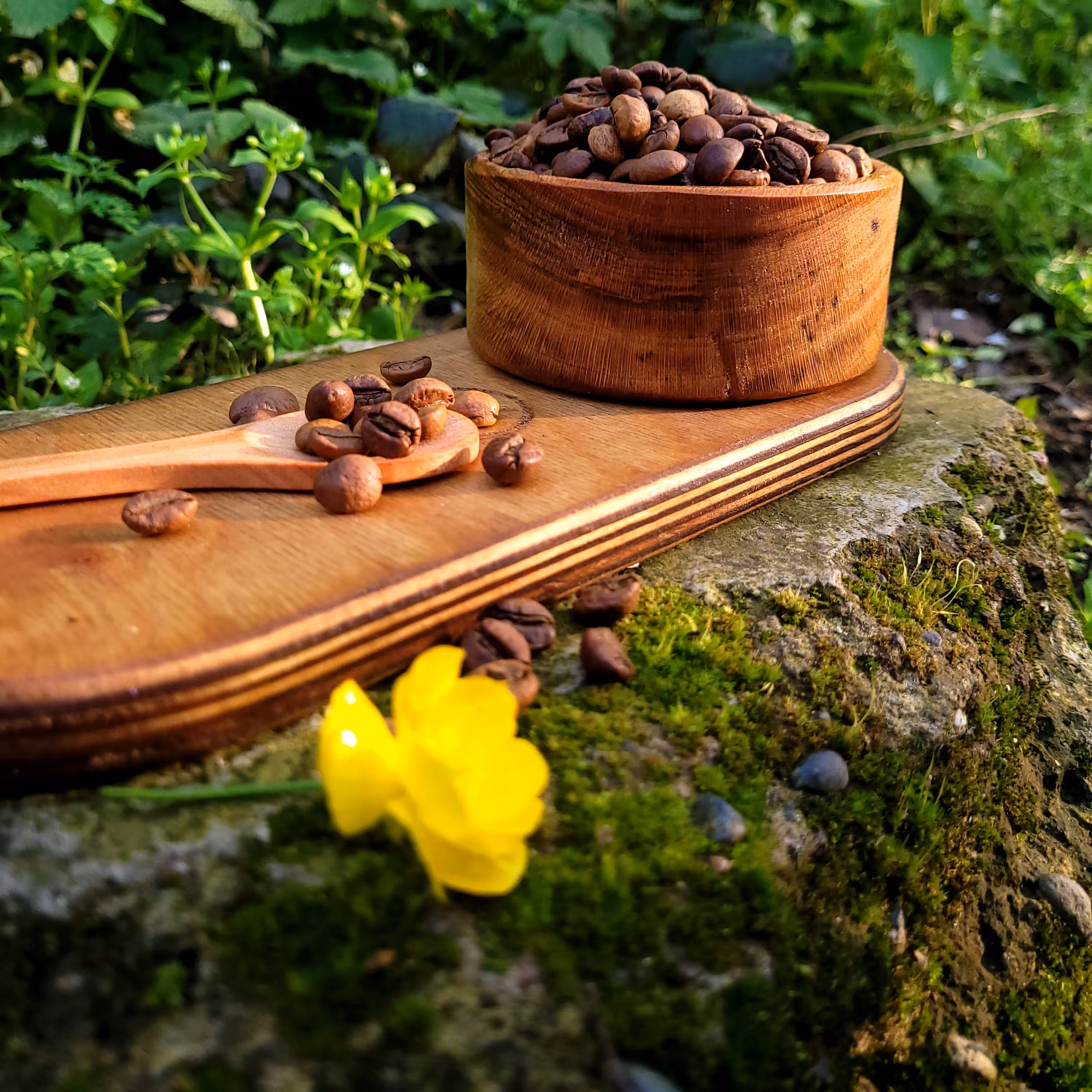 قهوه روبوستا ویتنام  1 کیلو  ربوستا  کافئین بالا  - قهوه اسپرسو  دان یا آسیاب برای اسپرسوساز - موکاپات فرنچ پرس دمی  و .