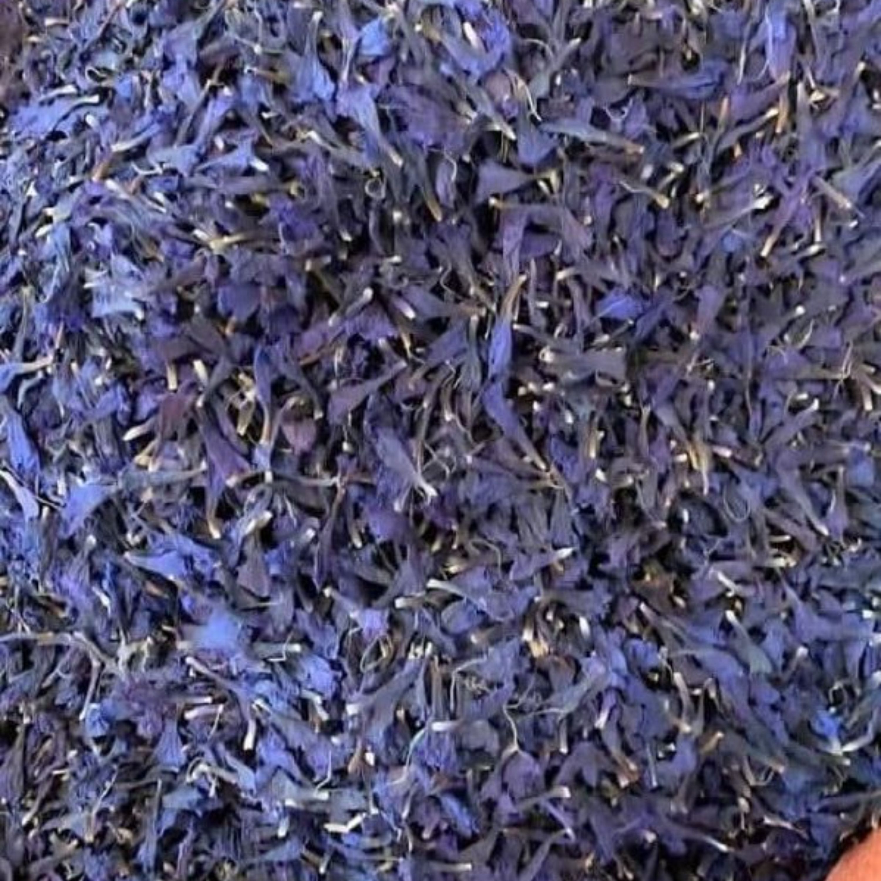 گل گاوزبان اعلا یک کیلویی