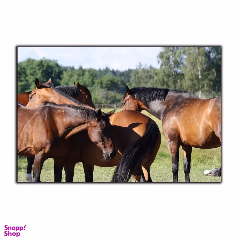 تابلو شاسی بکلیت طرح گله اسب مدل SH-7577