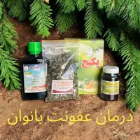 پکیج گیاهی عفونت زنان (درمان عفونت )