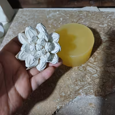 قالب سیلیکونی ساکولنت شماره ی 8