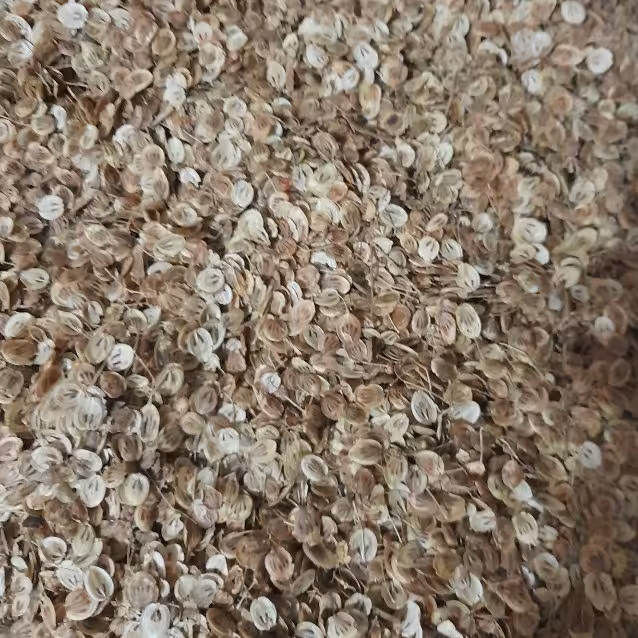 گلپر کوهی (300گرمی)