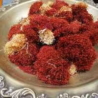 زعفران دخترپیچ (دسته) 5 مثقالی برداشت آبان 1403 ( مستقیم از کشاورز)