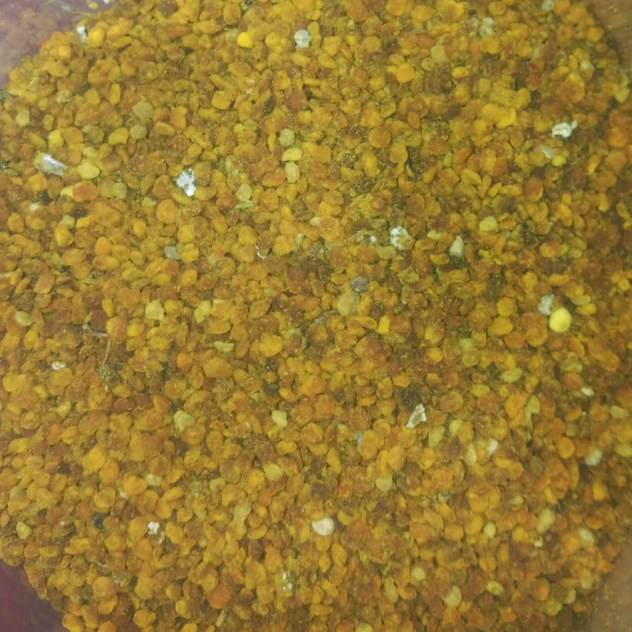 گردۂ گل چای تولید شده پاییز 1401شهر کلاچای قیمت استثنایی عمده فروشی پنج کیلو و بالای پنج کیلو کیلویی 200/000 تومان