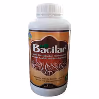 کود ریشه زا باسیلار یک لیتری 