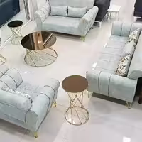 مبلمان رسا در رنگ بندی
