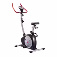 دوچرخه ثابت ایستاده خانگی WNQ 3318