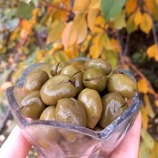 زیتون شکسته  (1کیلویی)