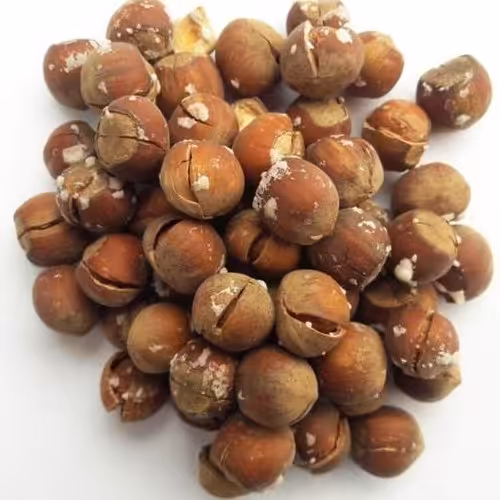 فندوق نمکی اشکور