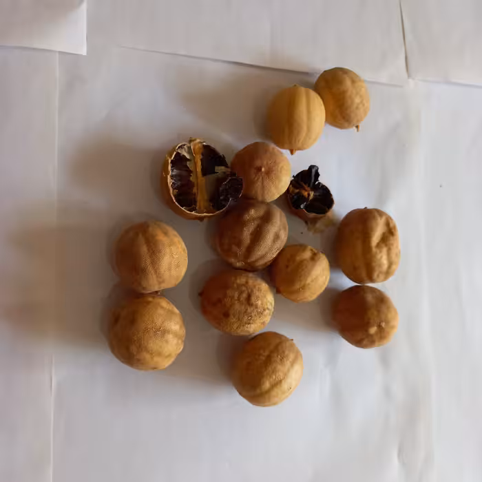 لیمو عمانی 500 گرمی